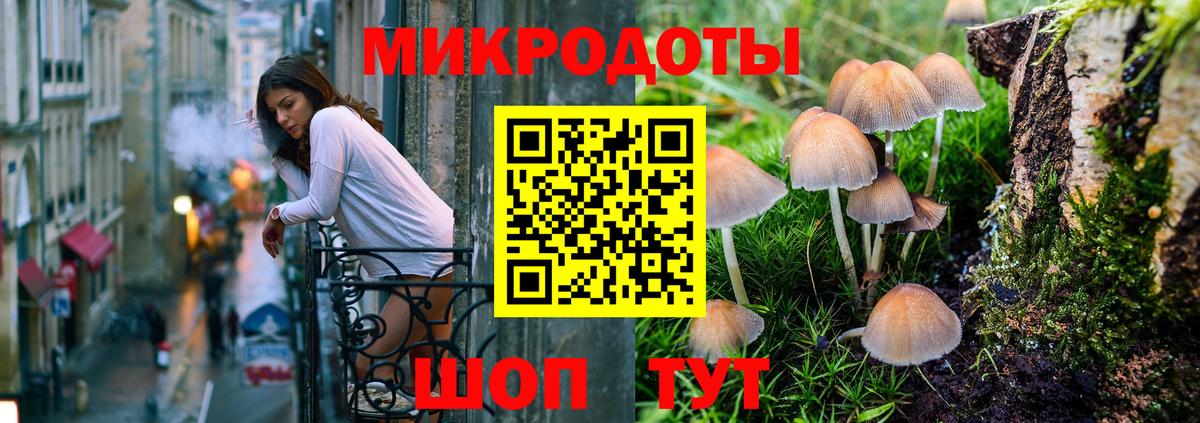 Галлюциногенные грибы Cubensis Миллерово
